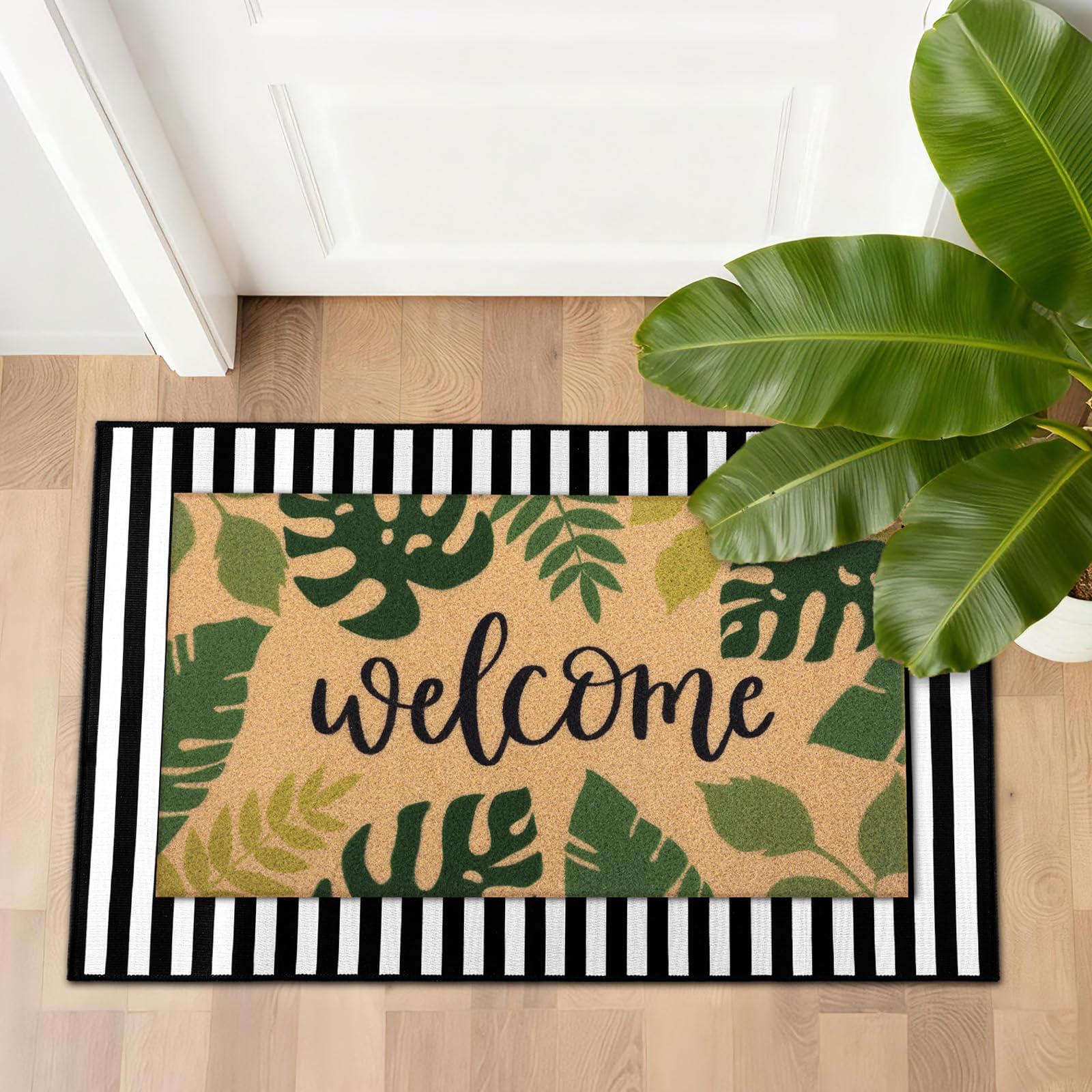 Tinideya felpudo en entrada decorada con plantas, crea ambiente acogedor y moderno