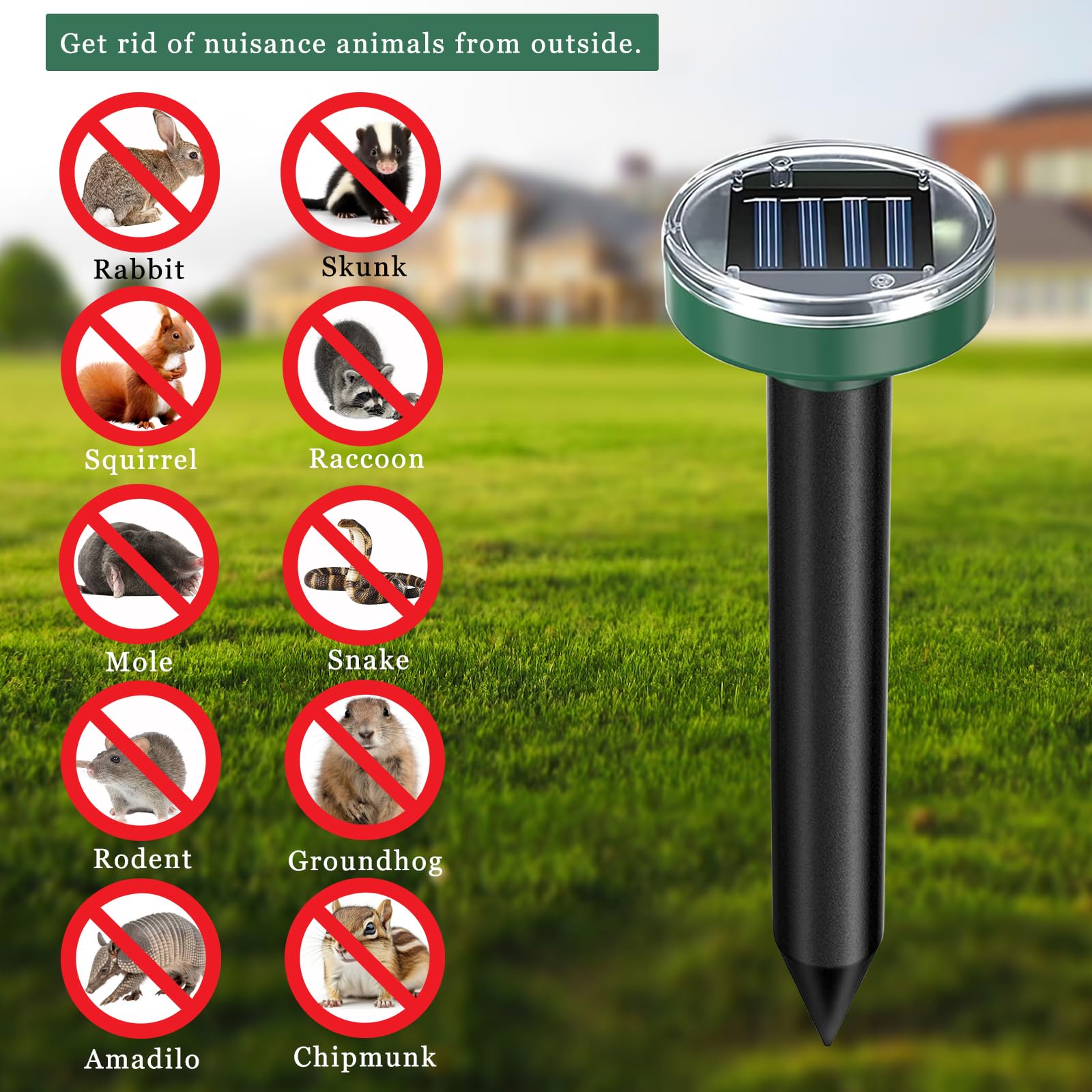 Tirgo primer plano del panel solar mostrando carga eficiente al sol