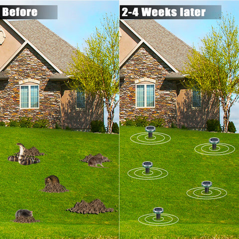 Tirgo detalle de la carcasa y estaca resistente que garantiza durabilidad