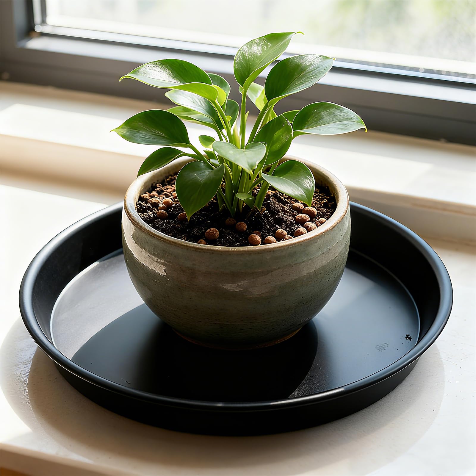 TITE plato con guijarros decorativos embellece plantas y evita derrames