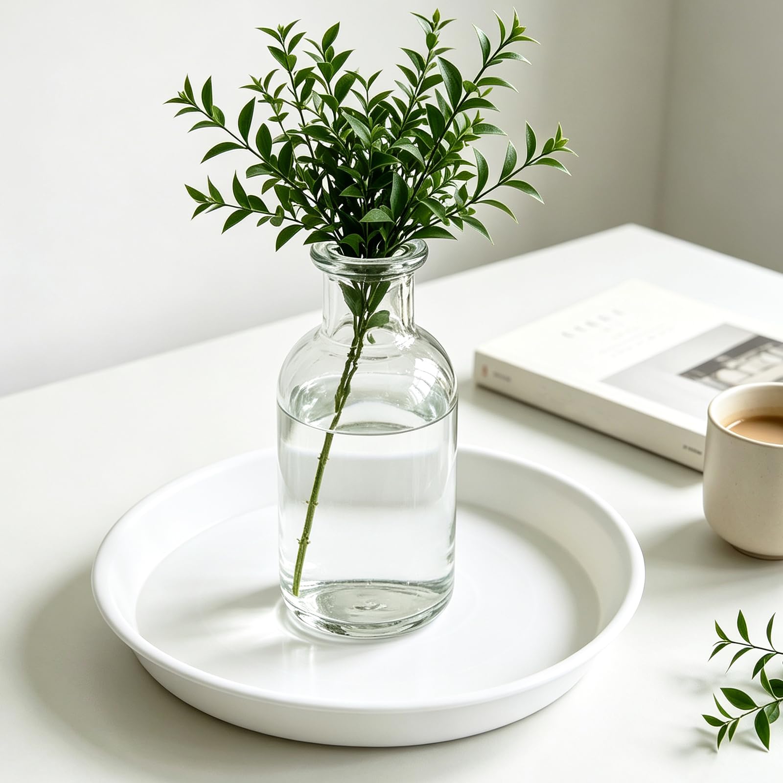 TITE plato en balcón estilo de vida protege suelo y complementa plantas
