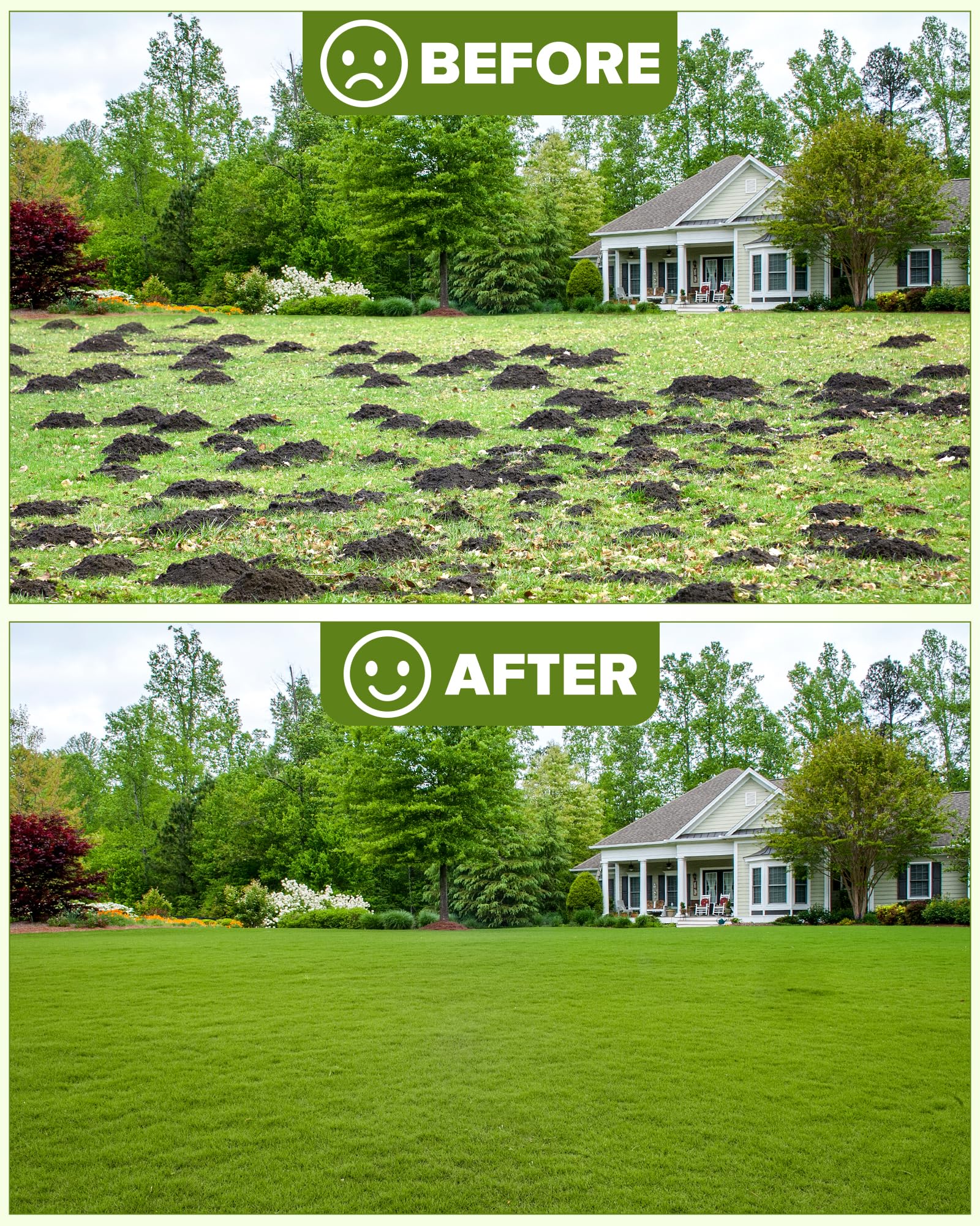 TITECK comparación con persona para visualizar tamaño y alcance
