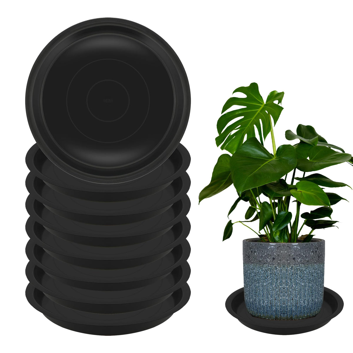 TNTIWQ platillo frontal resistente protegiendo superficie