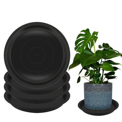 TNTIWQ plato delantero 16 pulgadas mostrando protección de superficie
