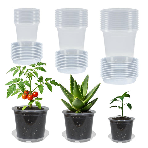 TNTIWQ maceta frontal transparente mostrando planta y ventaja visibilidad