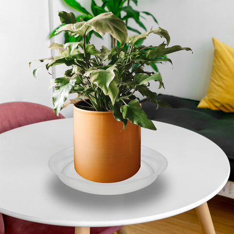 TNTIWQ plato junto a una regla para comparar tamaño y compatibilidad