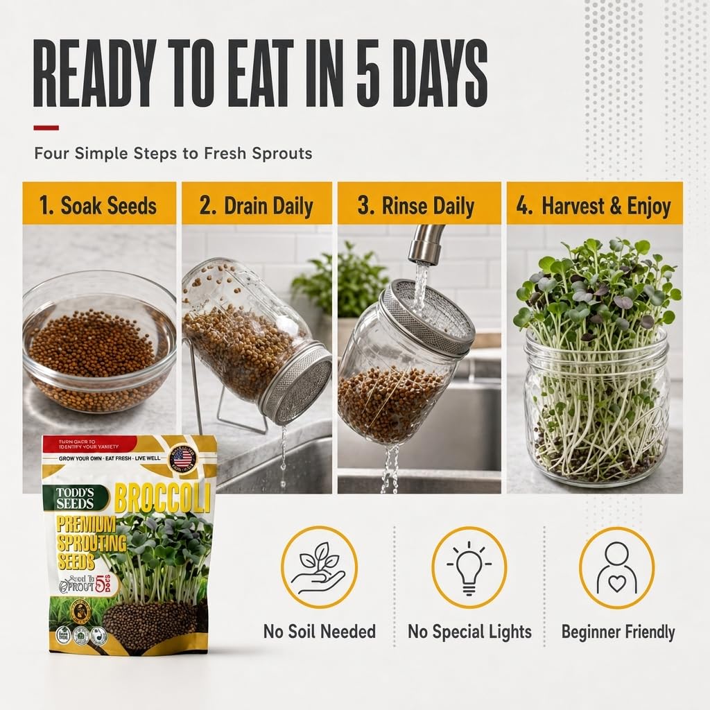 Todd's Seeds brotes sobre ensalada añadiendo crujiente y color al plato