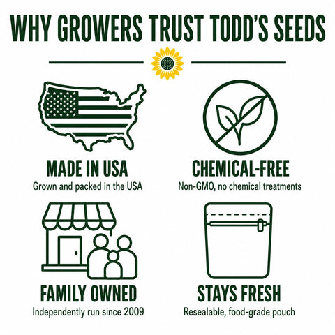 Todd's Seeds brotes frescos en ensalada, aporte crujiente y versátil en recetas