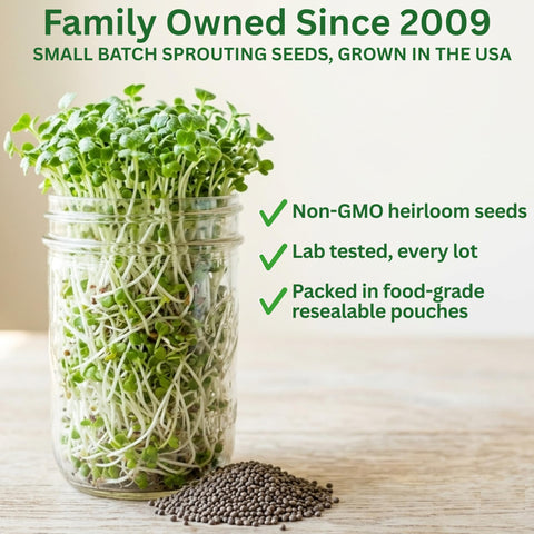 Todd's Seeds brotes en frasco Mason sobre encimera, facilidad para germinar en casa