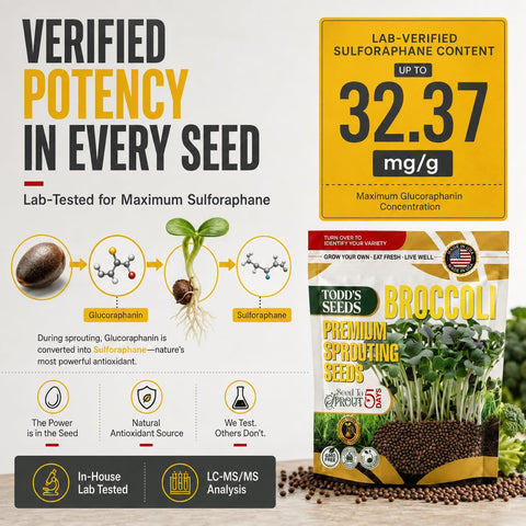 Todd's Seeds brotes en tarro Mason listos para consumir aportando frescura