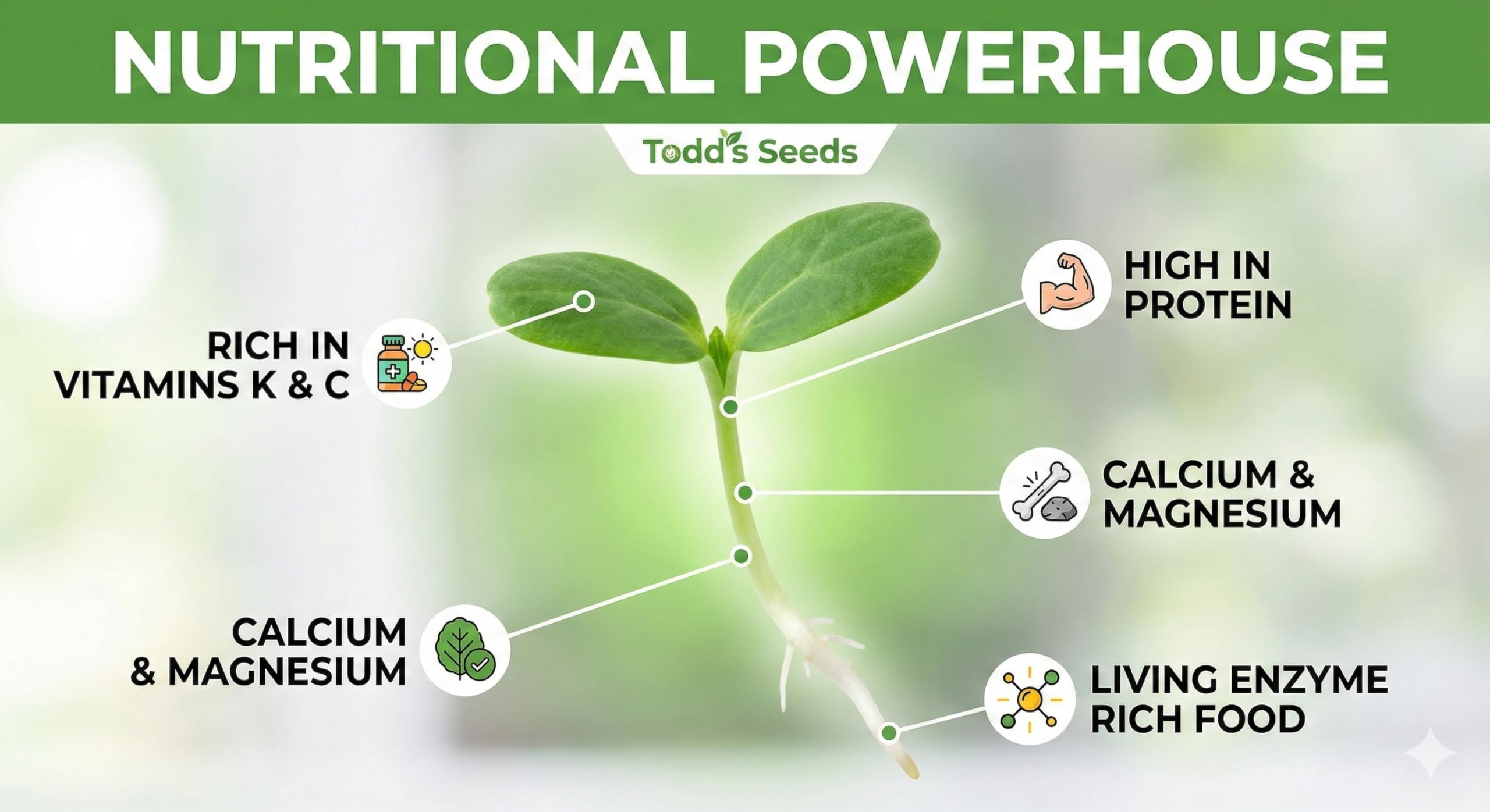 Todd's Seeds semilla en mano para comparar tamaño y facilidad de uso
