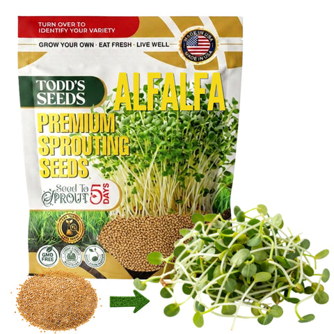 Todd's Seeds paquete frontal mostrando semillas alfalfa y garantía Non‑GMO
