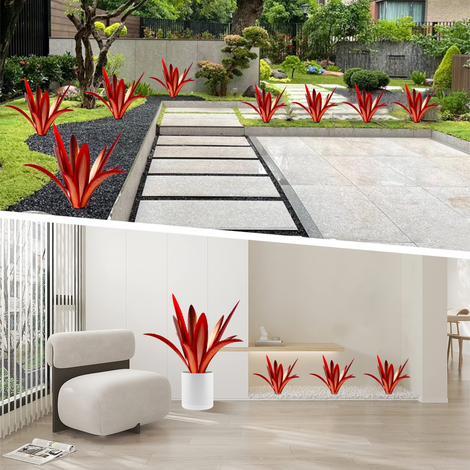 TOMBABY agave en uso en jardín, aporta punto focal elegante
