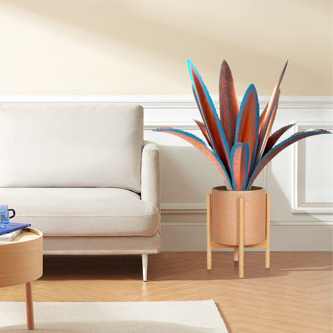 TOMBABY agave colocado en patio realza el espacio con punto focal decorativo