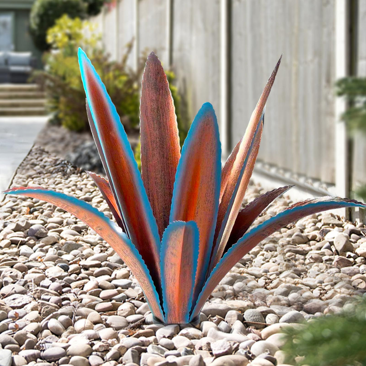 TOMBABY agave frontal azul mostrando forma arquitectónica y presencia en jardín