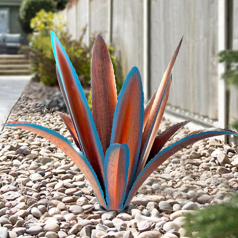 TOMBABY agave frontal azul mostrando forma arquitectónica y presencia en jardín