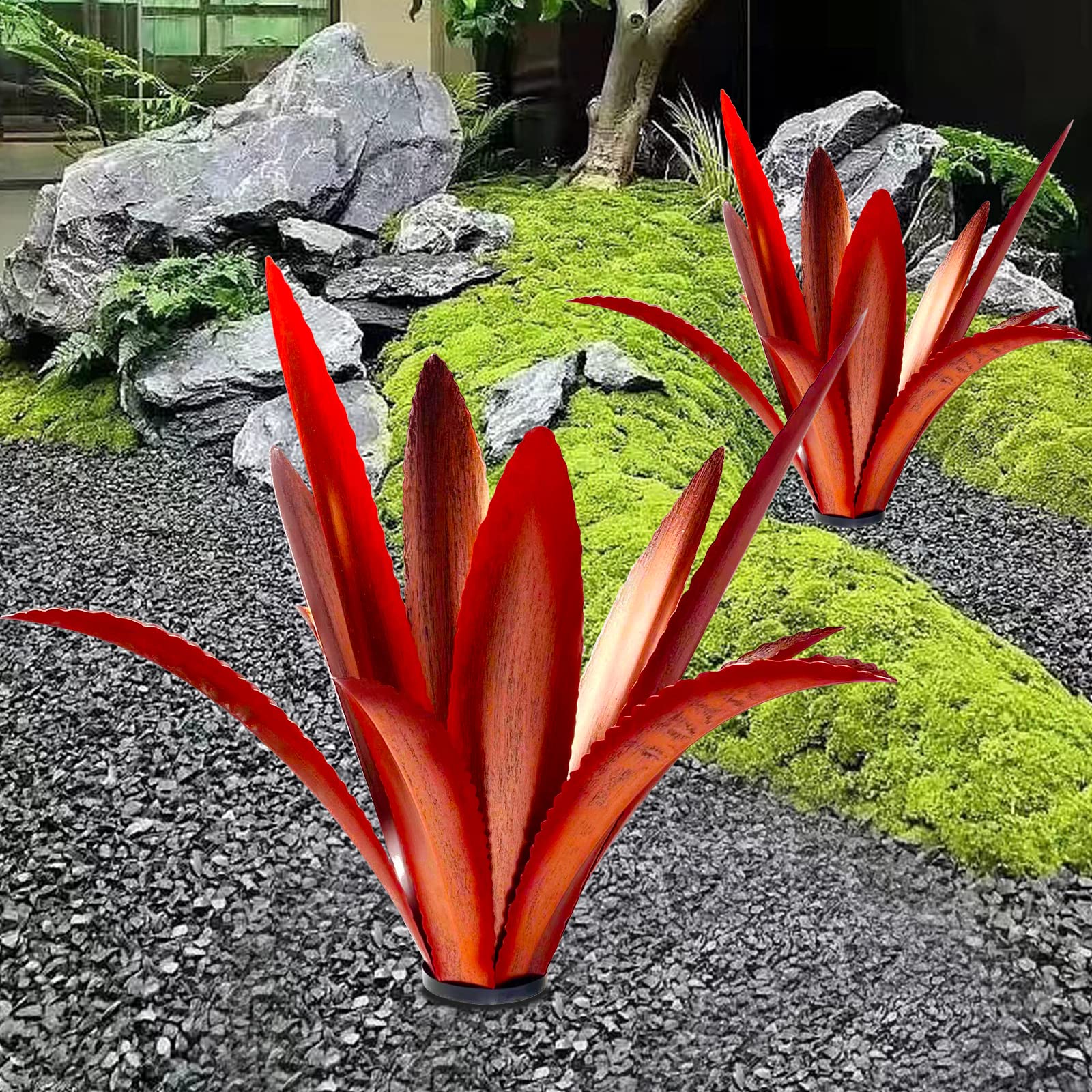 TOMBABY agave frontal roja, acento visual para jardín