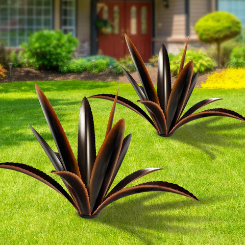 TOMBABY agave frontal mostrando forma y presencia decorativa