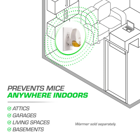 Tomcat en ambiente de vivienda cerca de sala, beneficio: aroma agradable para personas