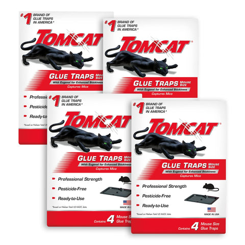 Tomcat frontal paquete mostrando cuatro trampas listas para usar