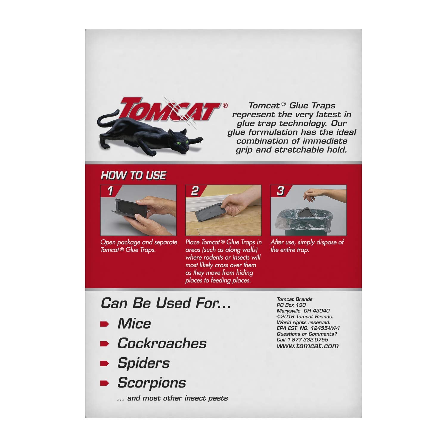 Tomcat colocada en cocina para atrapar roedores en rutas comunes