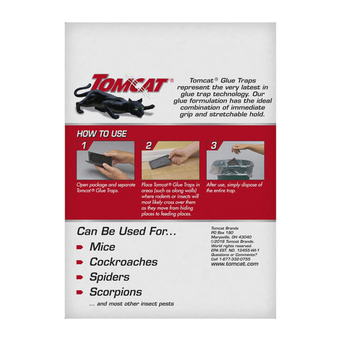 Tomcat colocada en cocina para atrapar roedores en rutas comunes