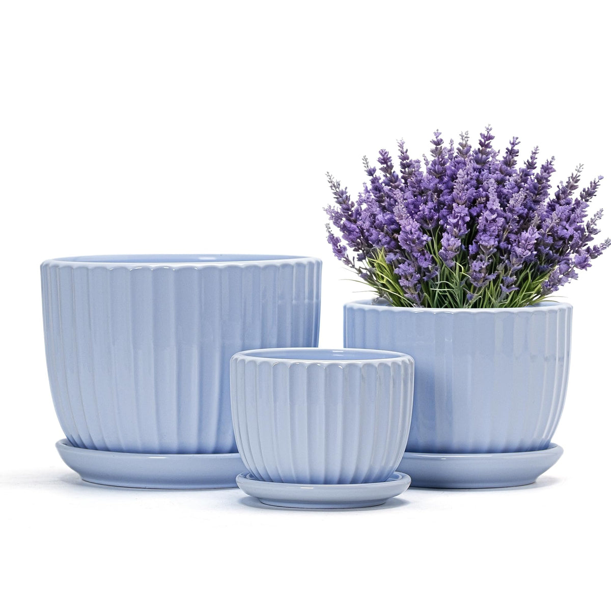 Ton Sin maceta frontal azul cielo muestra acabado y forma, ideal para decoración