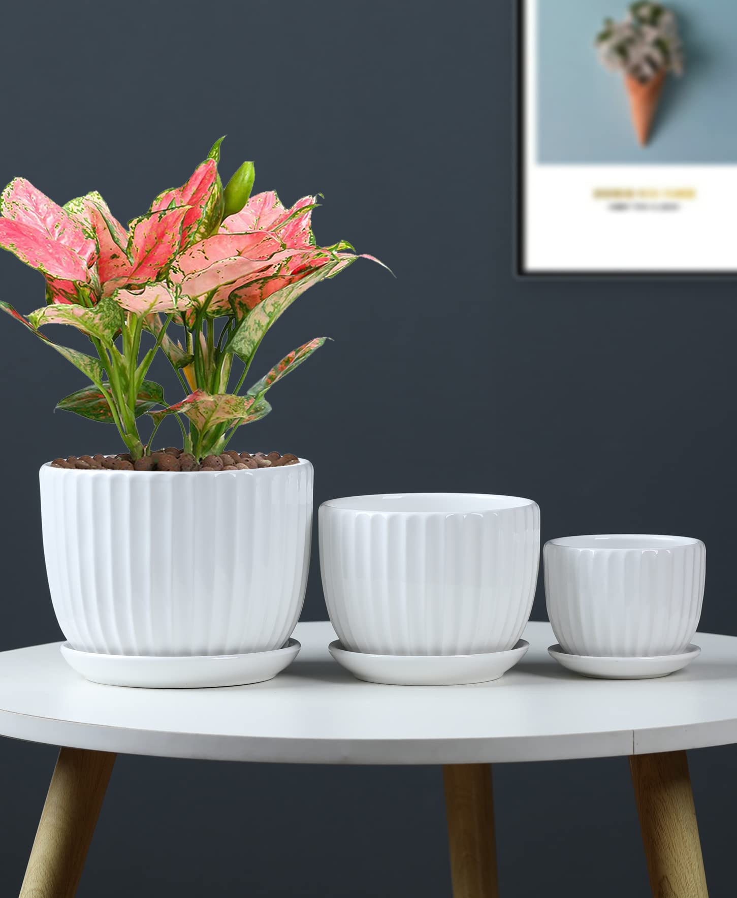 Ton Sin macetas en ambiente decorativo aportando estilo y protección de muebles
