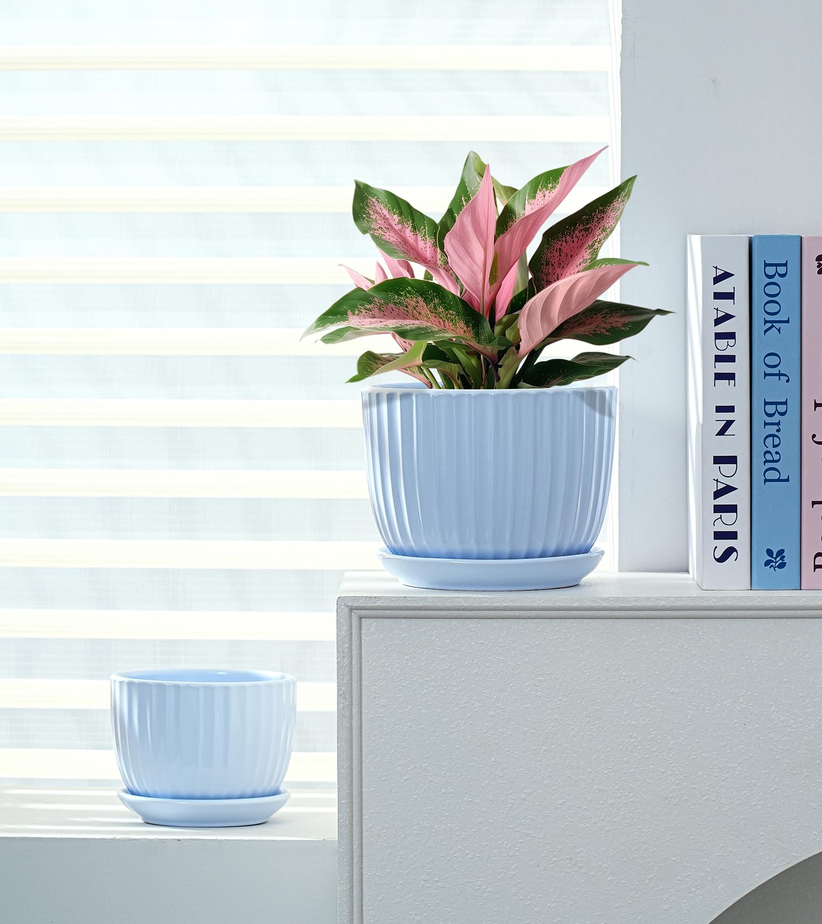 Ton Sin set de macetas en estantería con plantas, mejora la decoración interior