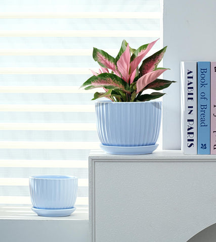 Ton Sin set de macetas en estantería con plantas, mejora la decoración interior