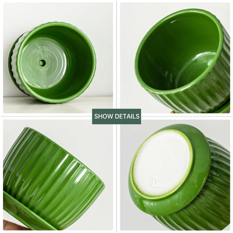 Ton Sin macetas con plantas en interior realzando decoración hogareña