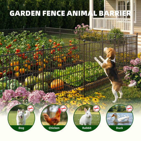 Toolterritary uso alrededor de huerto protegiendo plantas contra animales