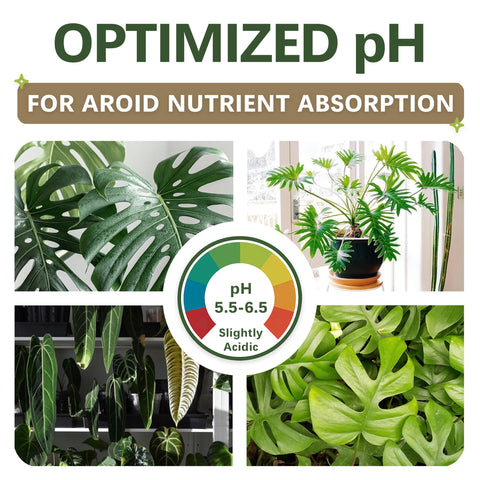 Top Tier Genetics sustrato en maceta con Monstera favorece crecimiento