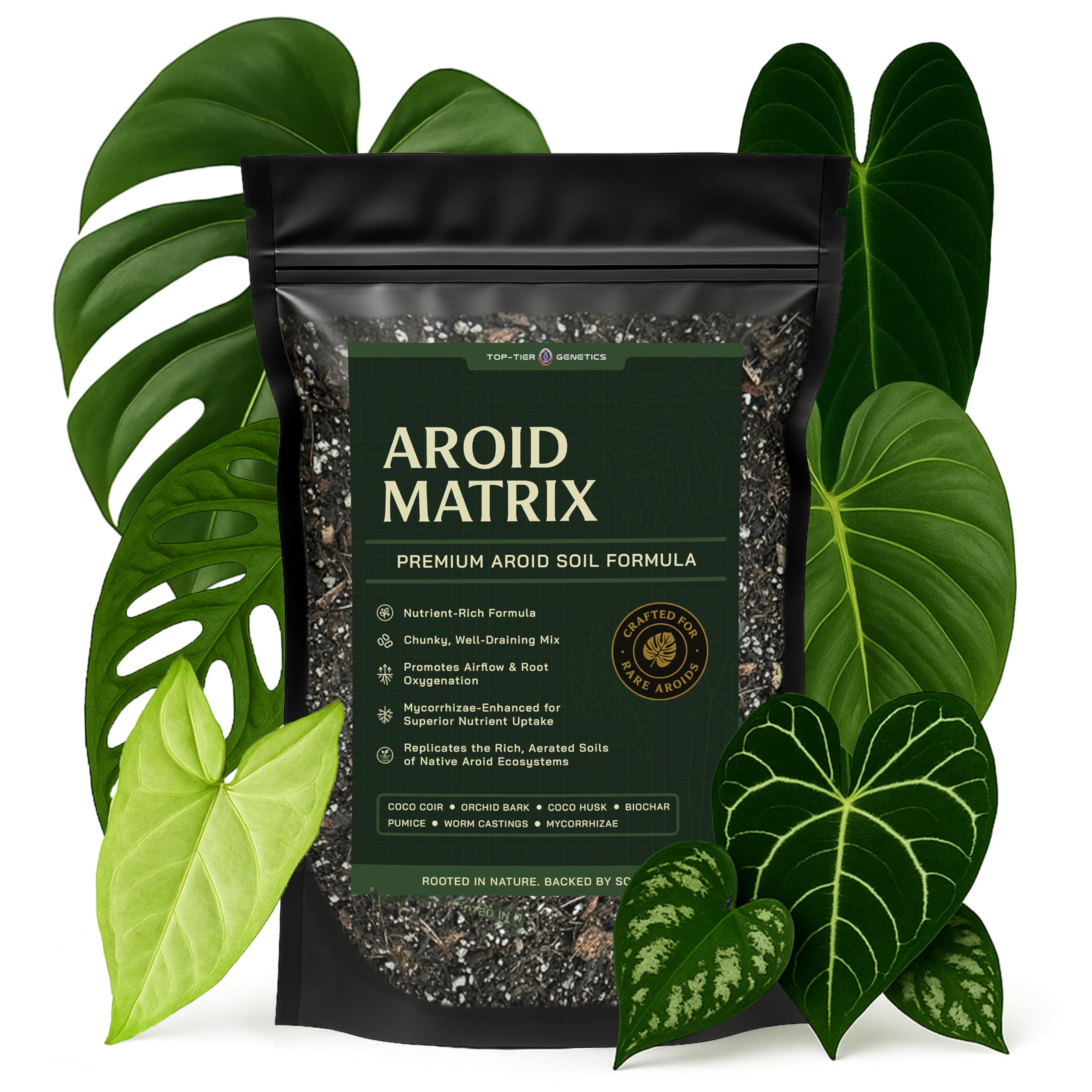 Top Tier Genetics paquete frontal del sustrato mostrando uso para aroides