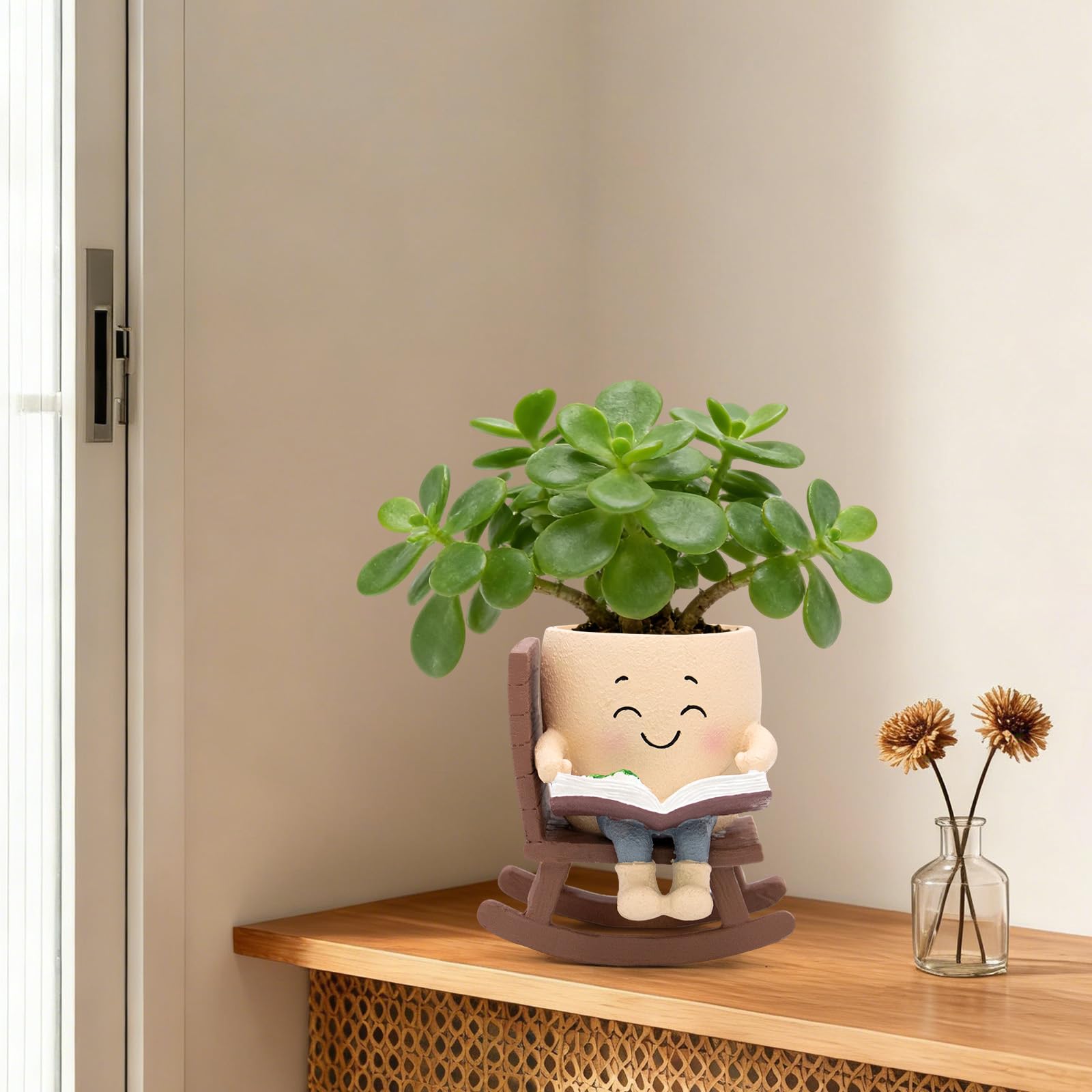 Toparad maceta con suculentas realza plantas pequeñas y ordenadas