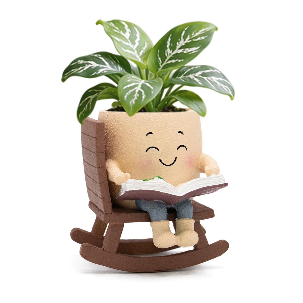 Toparad maceta frontal con diseño lector añade encanto decorativo