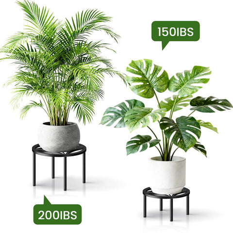 TOSKING soporte con maceta grande en interior, presentación elegante