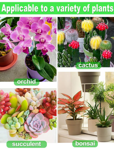 TOYPOPOR ambiente interior con orquídeas en maceta usando la mezcla