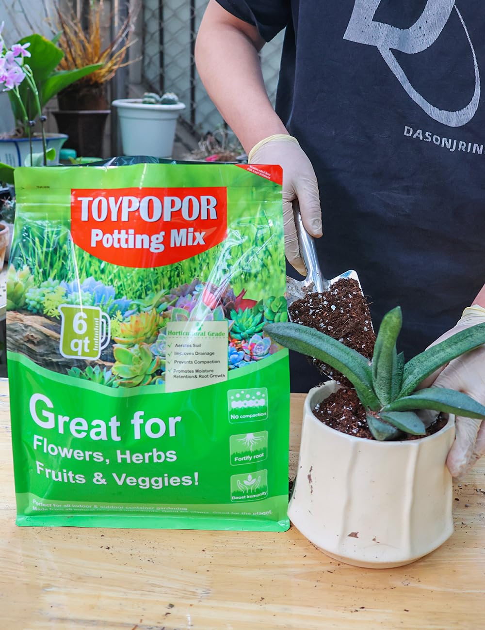 TOYPOPOR planta en interior usando mezcla para crecimiento vigoroso