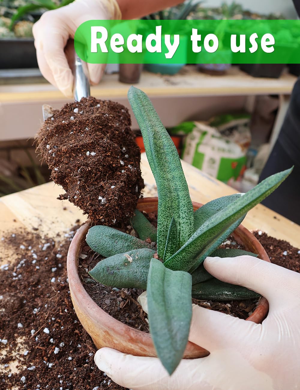 TOYPOPOR comparación de tamaño con manos revela volumen práctico para jardinería