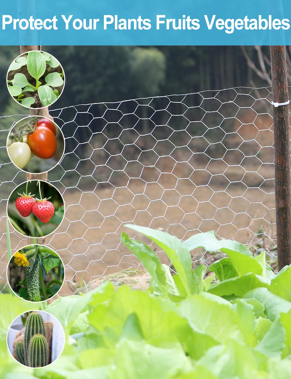 TOYPOPOR detalle de malla hexagonal que protege plantas