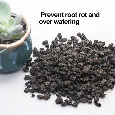 TOYPOPOR lava negra usada en maceta con suculentas para prevenir encharcamientos