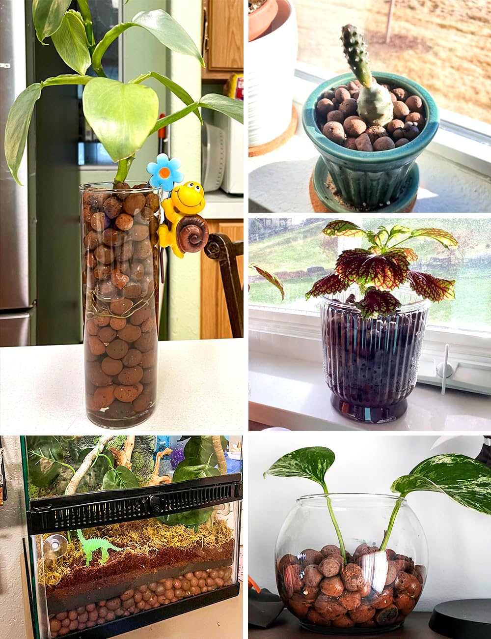 TOYPOPOR etiqueta con información de uso y beneficios para jardinería