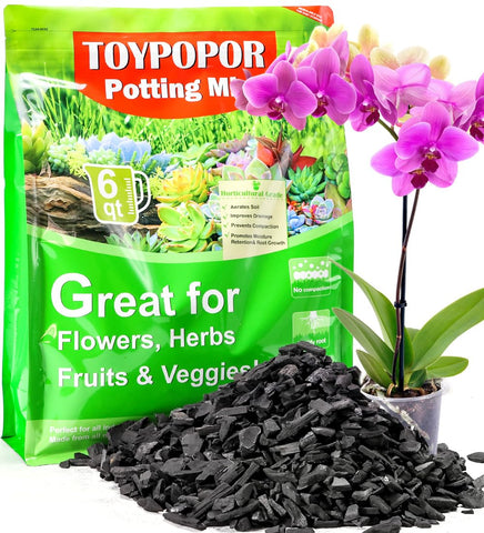 TOYPOPOR bolsa frontal mostrando 6 cuartos y beneficios visibles
