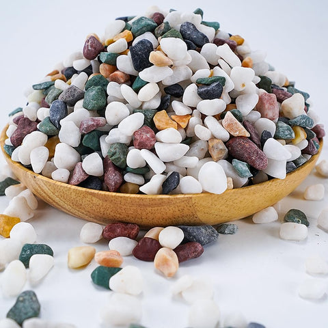 TOYPOPOR bolsa 6lb de piedras naturales que decora y protege plantas