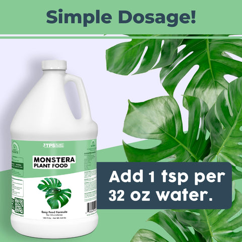 TPS NUTRIENTS aplicación en maceta de Monstera para hojas más grandes