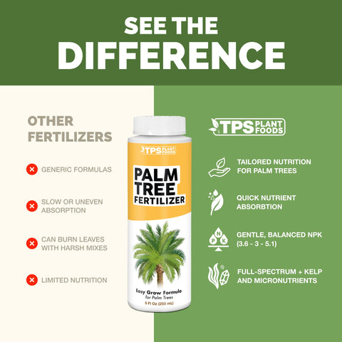 TPS NUTRIENTS aplicación en maceta de palmera, mejora salud y apariencia foliar