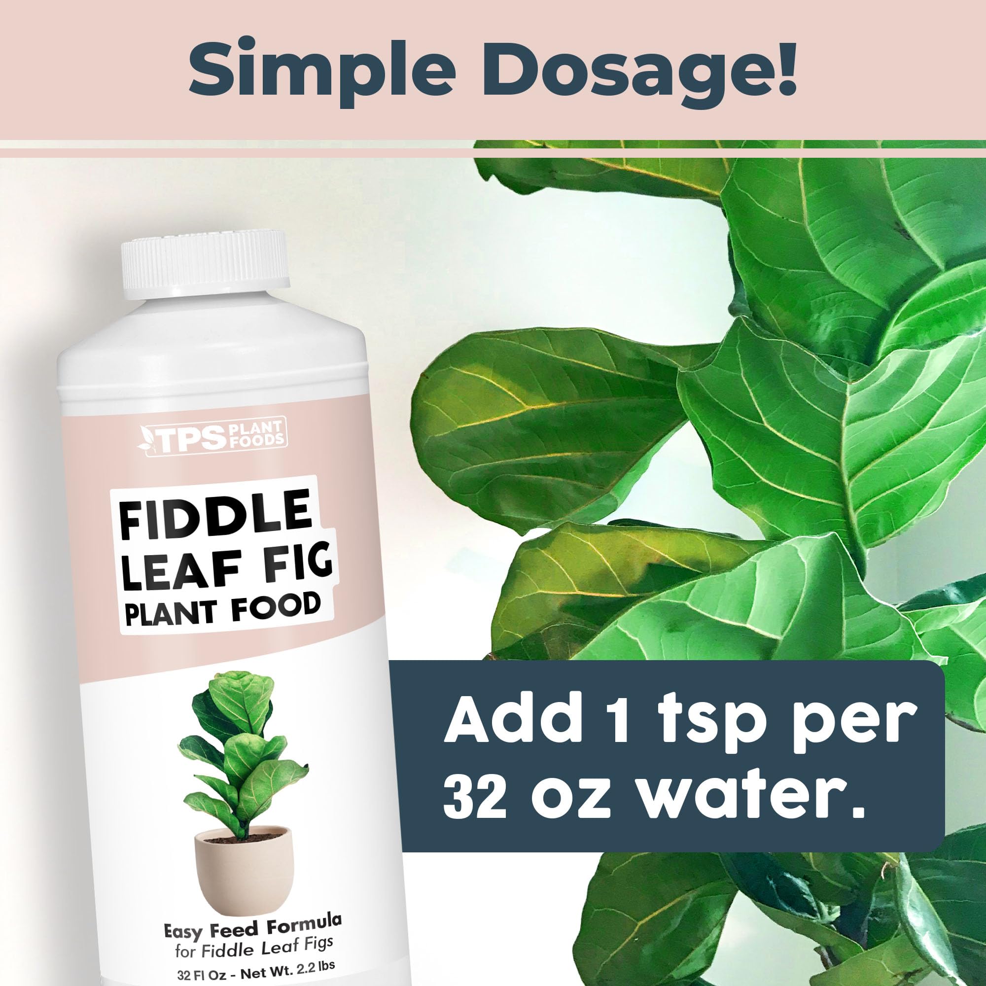 TPS NUTRIENTS aplicando fertilizante en maceta de ficus muestras cómo nutrir raíces fácilmente