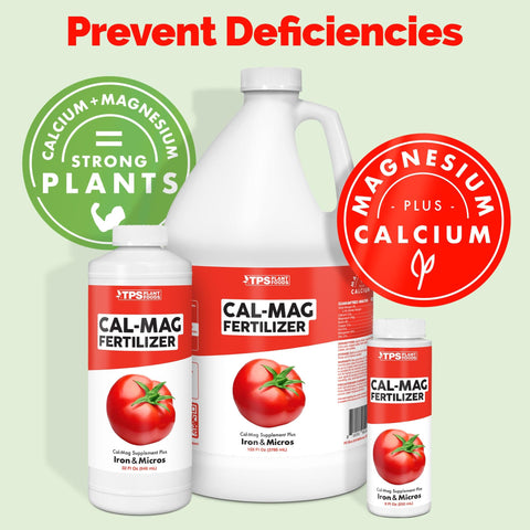 Aplicación de TPS NUTRIENTS Cal Mag en reservorio hidropónico mejorando absorción