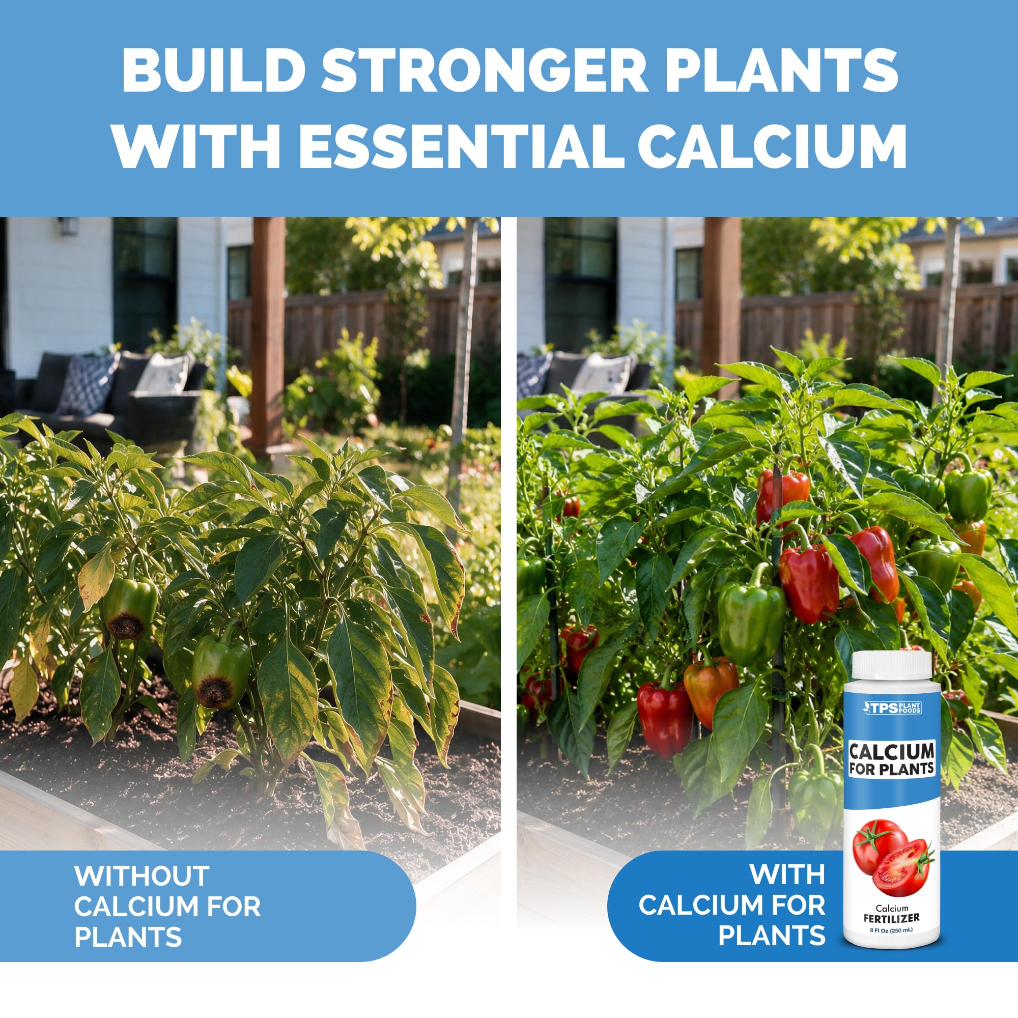 TPS NUTRIENTS pulverizando calcio foliar sobre tomates para mejor desarrollo